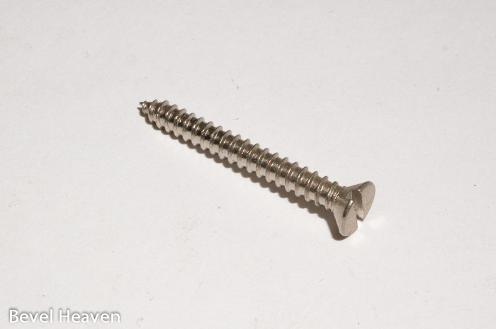 Screw - 25mm Long
