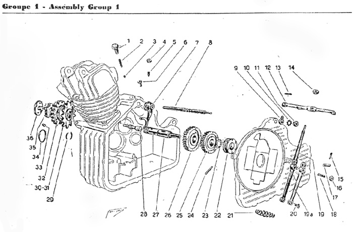 Ducati Cucciolo T50 Spare Parts Catalog - Digital