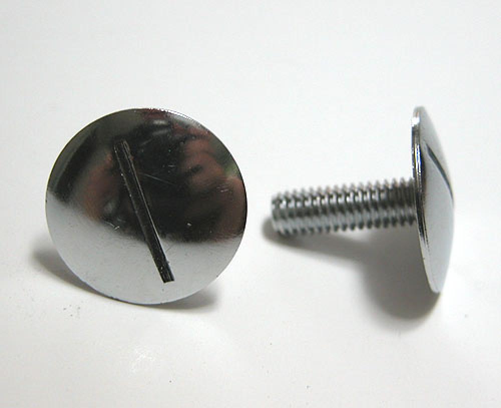 Bodyscrew - 6 x 17.5mm [22mm Head] Silver