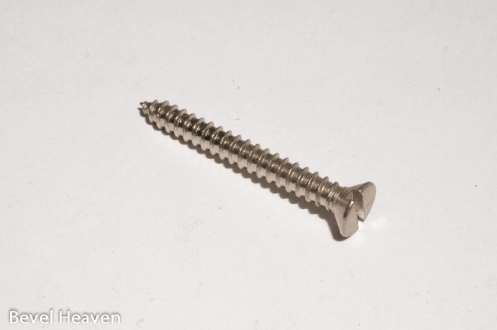 Screw - 25mm Long