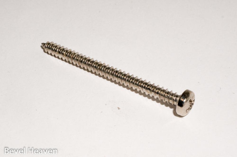 Screw - 40mm Long