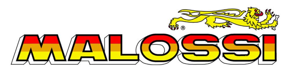 Sticker: Malossi
