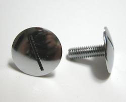 Bodyscrew - 6 x 17.5mm [22mm Head] Silver