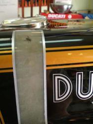 Sticker: FLY on clear background